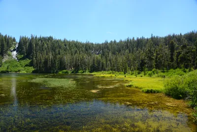 DSC_0036 (Large).JPG